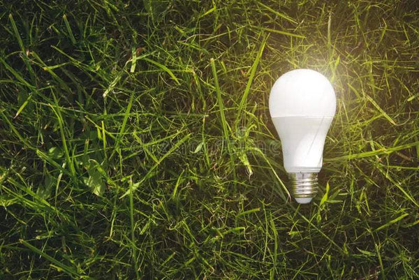 LED Bulbs