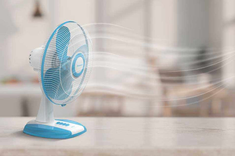 Table Fans