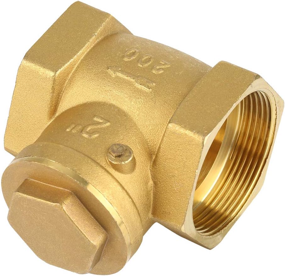 BRASS NON RETURN VALVE 2"