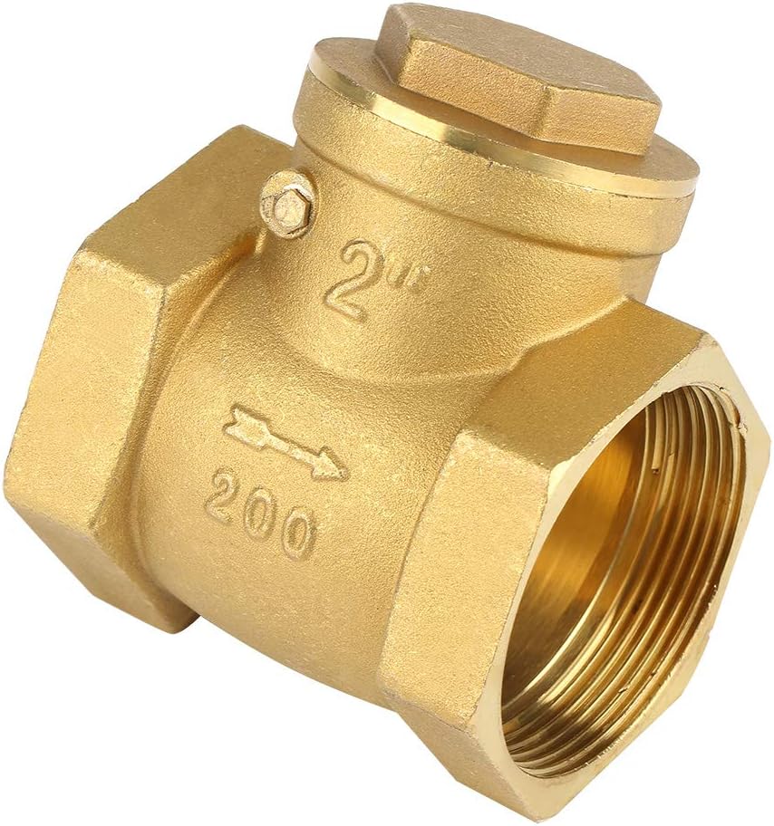 BRASS NON RETURN VALVE 2"