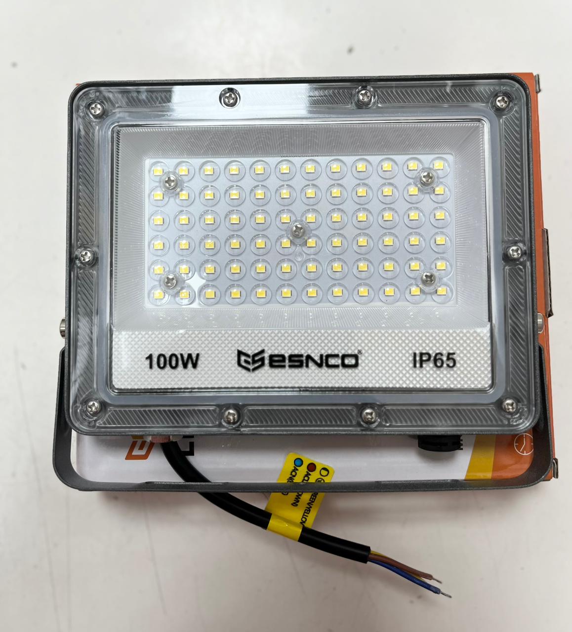 ESNCO FLOOD LIGHT 100W WHITE