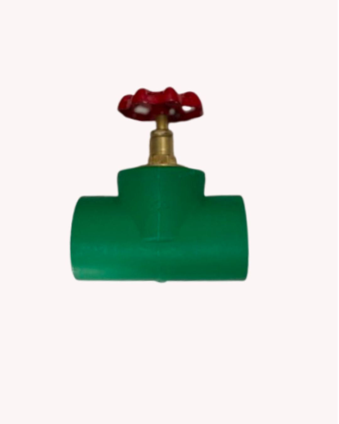 PPR GATE VALVE