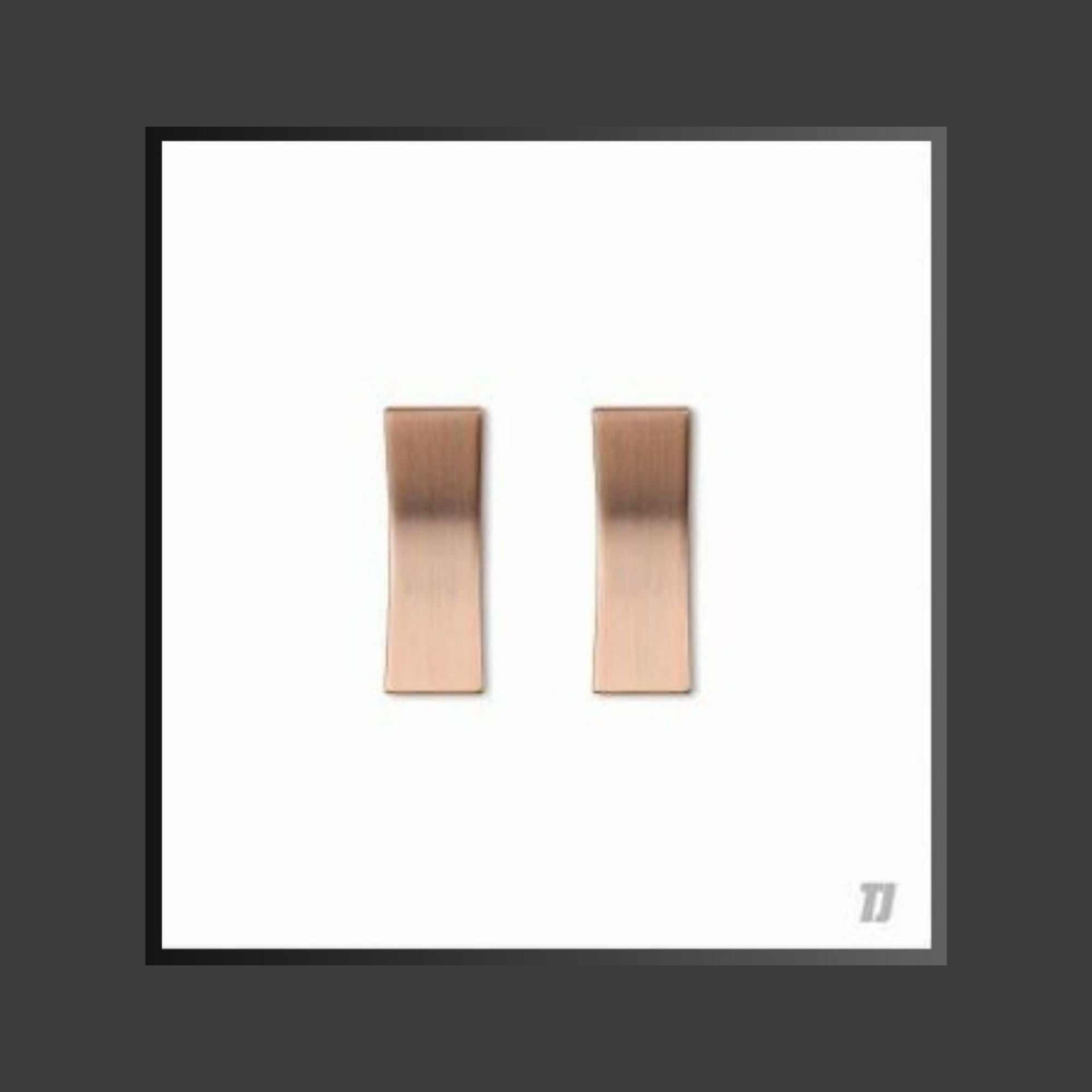 Elegant white TJ Serene 2 Gang 2 Way Switch with stainless steel and copper contacts for modern interiors