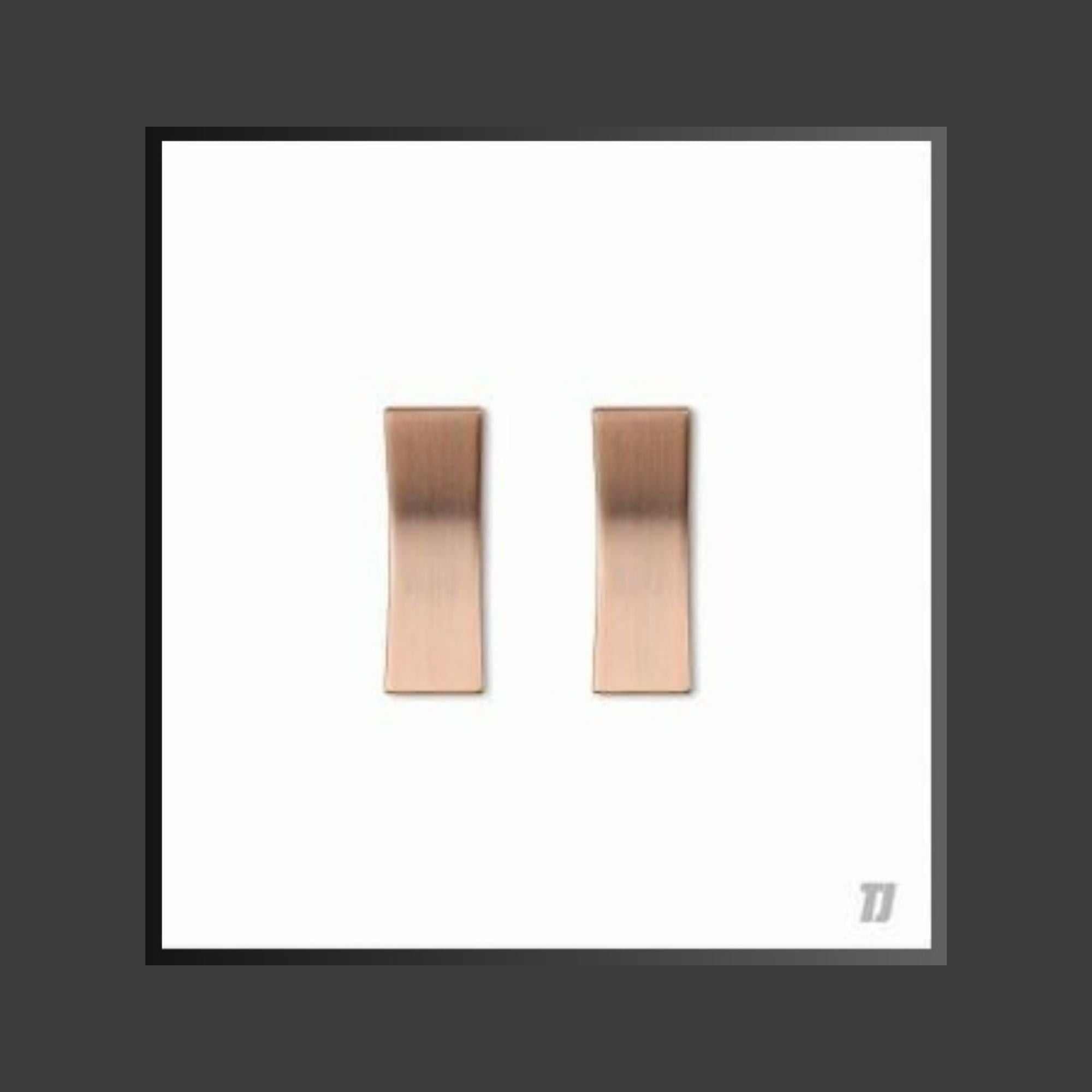 Elegant white TJ Serene 2 Gang 2 Way Switch with stainless steel and copper contacts for modern interiors