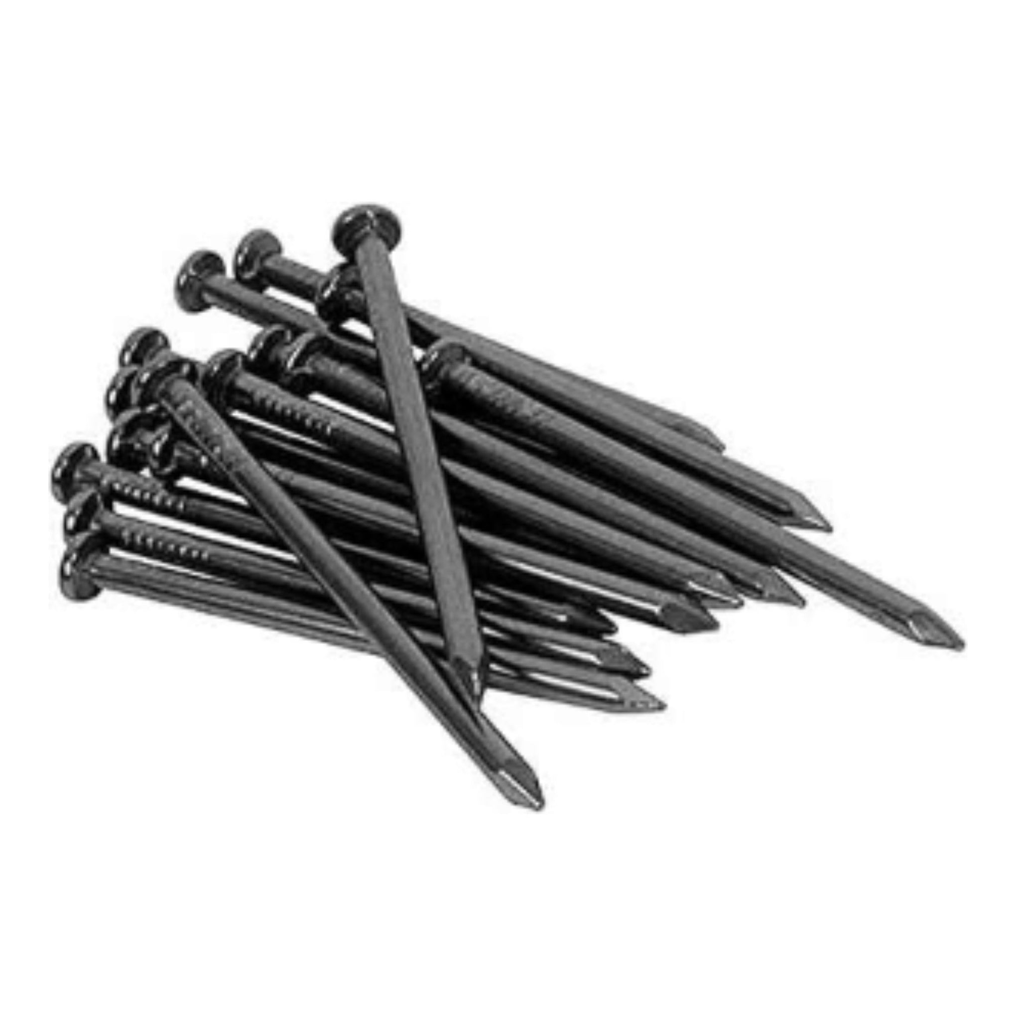Steel Nails-White & Black / Multiple Sizes (1" to 4")